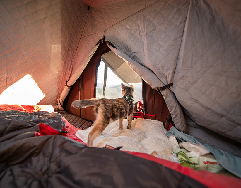 IKAMPER | Insulation Tent Past Season