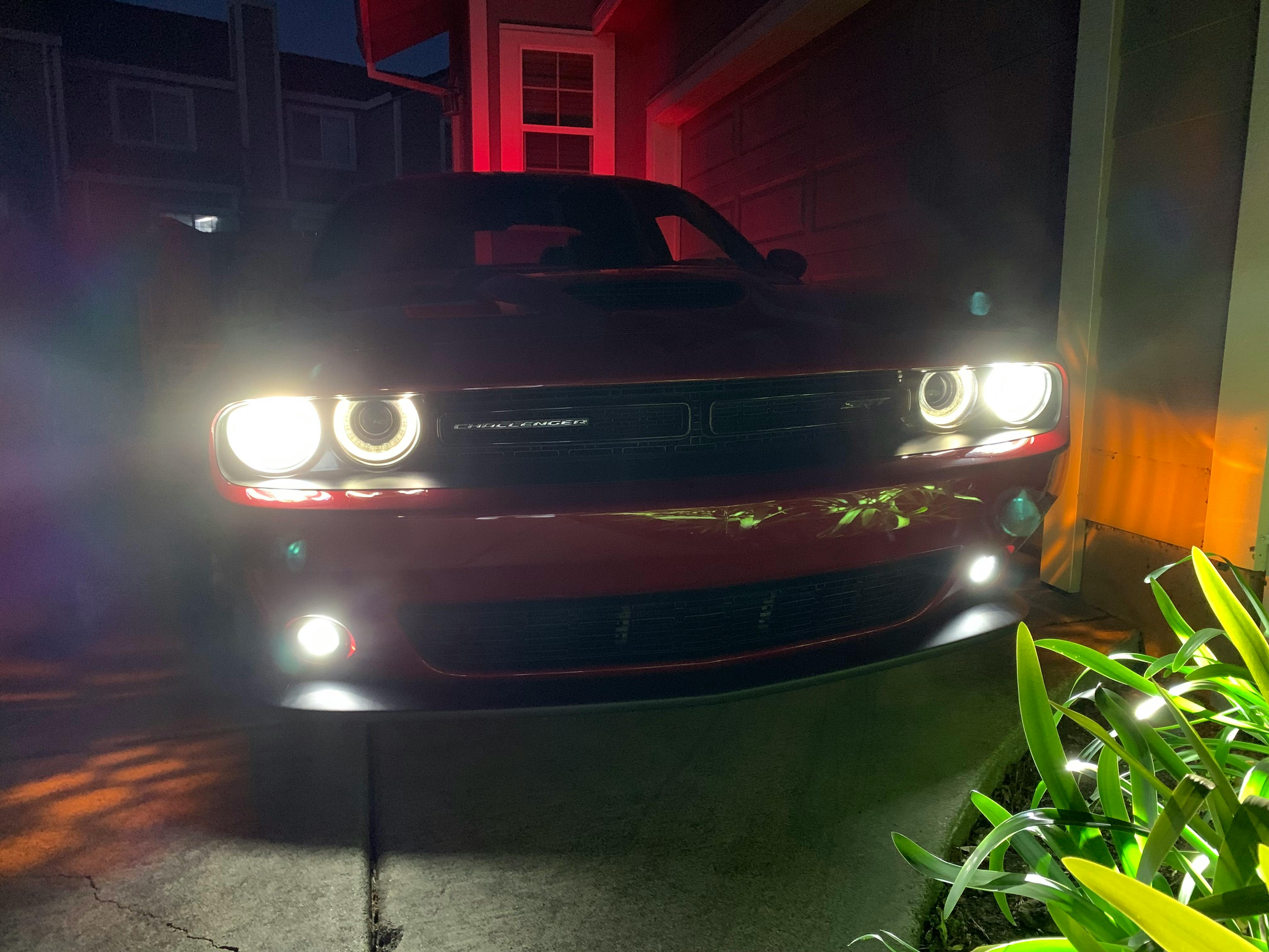 DIODE DYNAMICS | H11 SL2 LED Bulbs (Pair)
