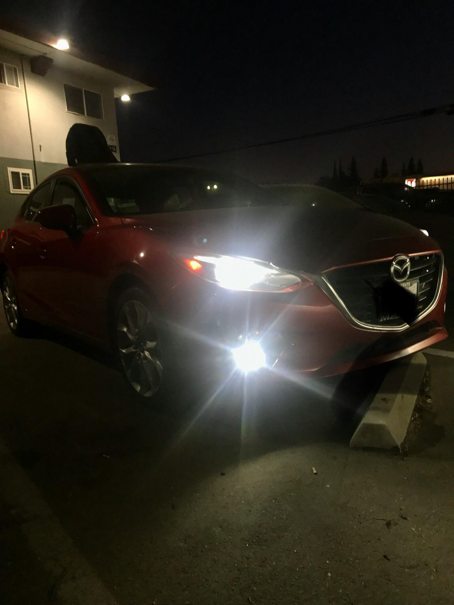 DIODE DYNAMICS | H11 HP48 LED Bulbs (DD0158P)