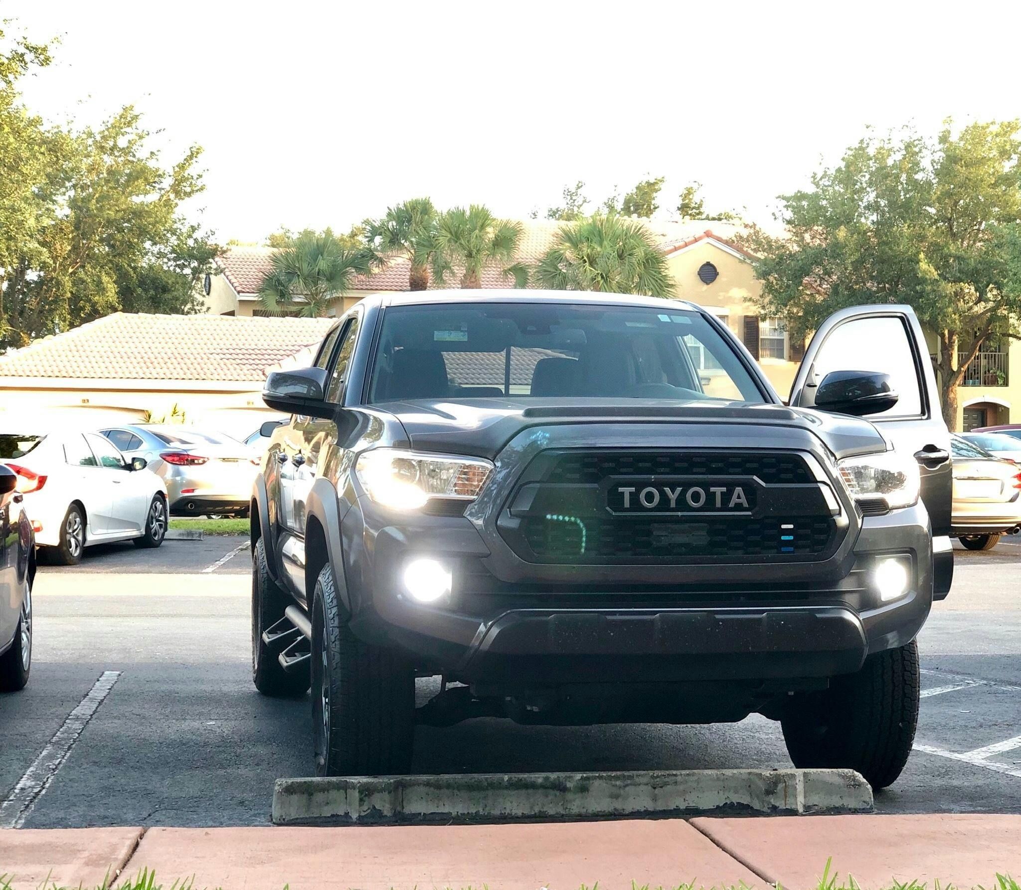 DIODE DYNAMICS | H11 XP80 LED Bulbs (DD0165P)