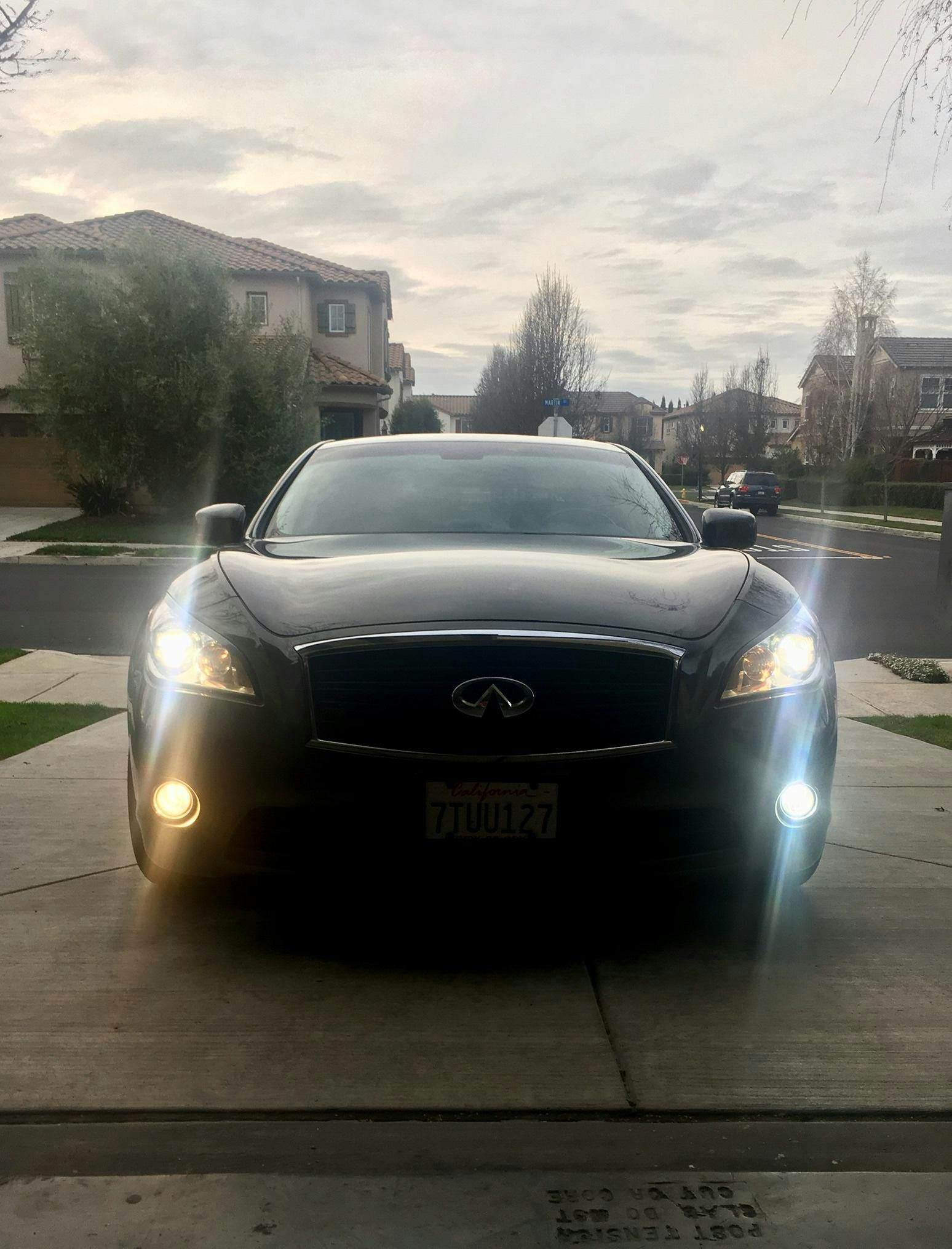 DIODE DYNAMICS | H8 HP48 LED Bulbs (DD0180P)