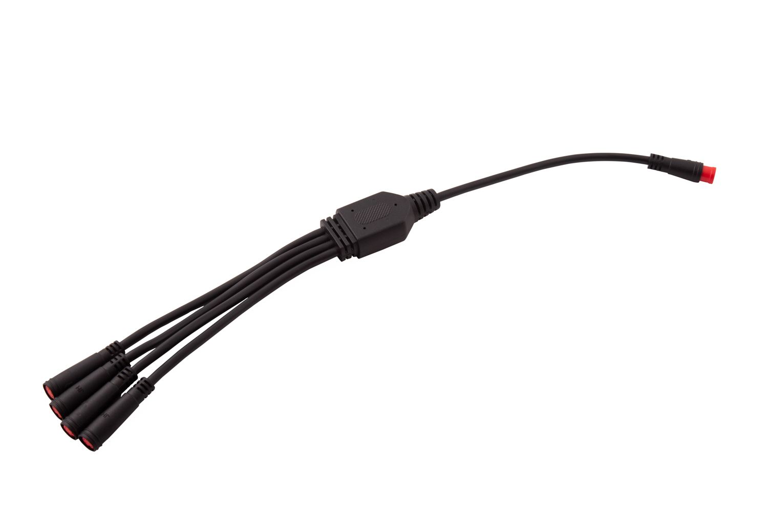DIODE DYNAMICS | RGBW M8 5-Pin Splitter Wire (One)