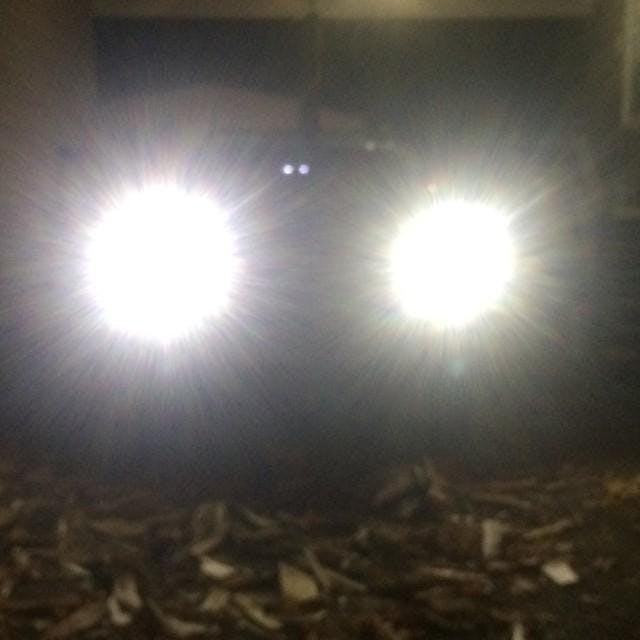 DIODE DYNAMICS | H11 XP80 LED Bulbs (DD0165P)