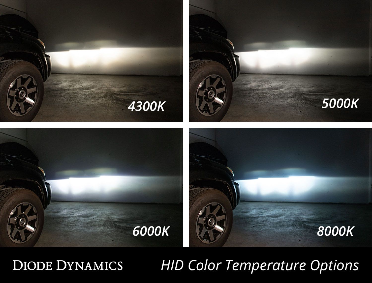 DIODE DYNAMICS | Replacement D1S HID Bulbs (Pair)