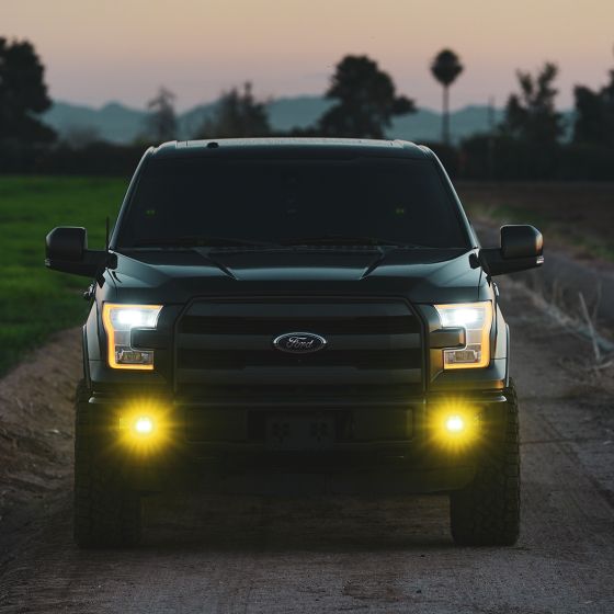 RIGID INDUSTRIES | D-Series SAE Fog Yellow/White Pair (50482)