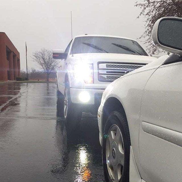 DIODE DYNAMICS | H11 XP80 LED Bulbs (DD0165P)