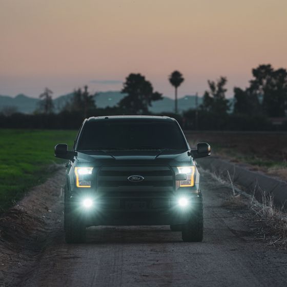 RIGID INDUSTRIES | D-Series SAE Fog Yellow/White Pair (50482)