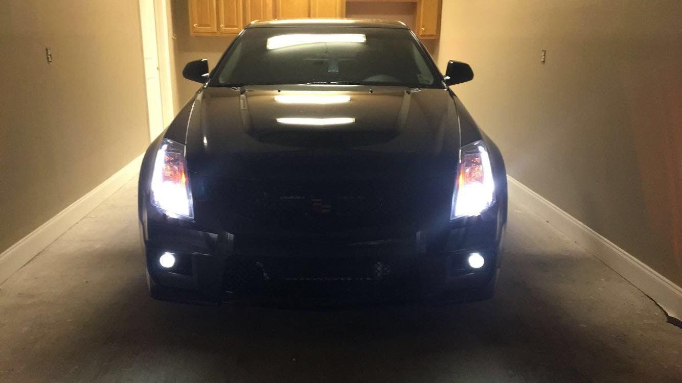 DIODE DYNAMICS | H11 XP80 LED Bulbs (DD0165P)