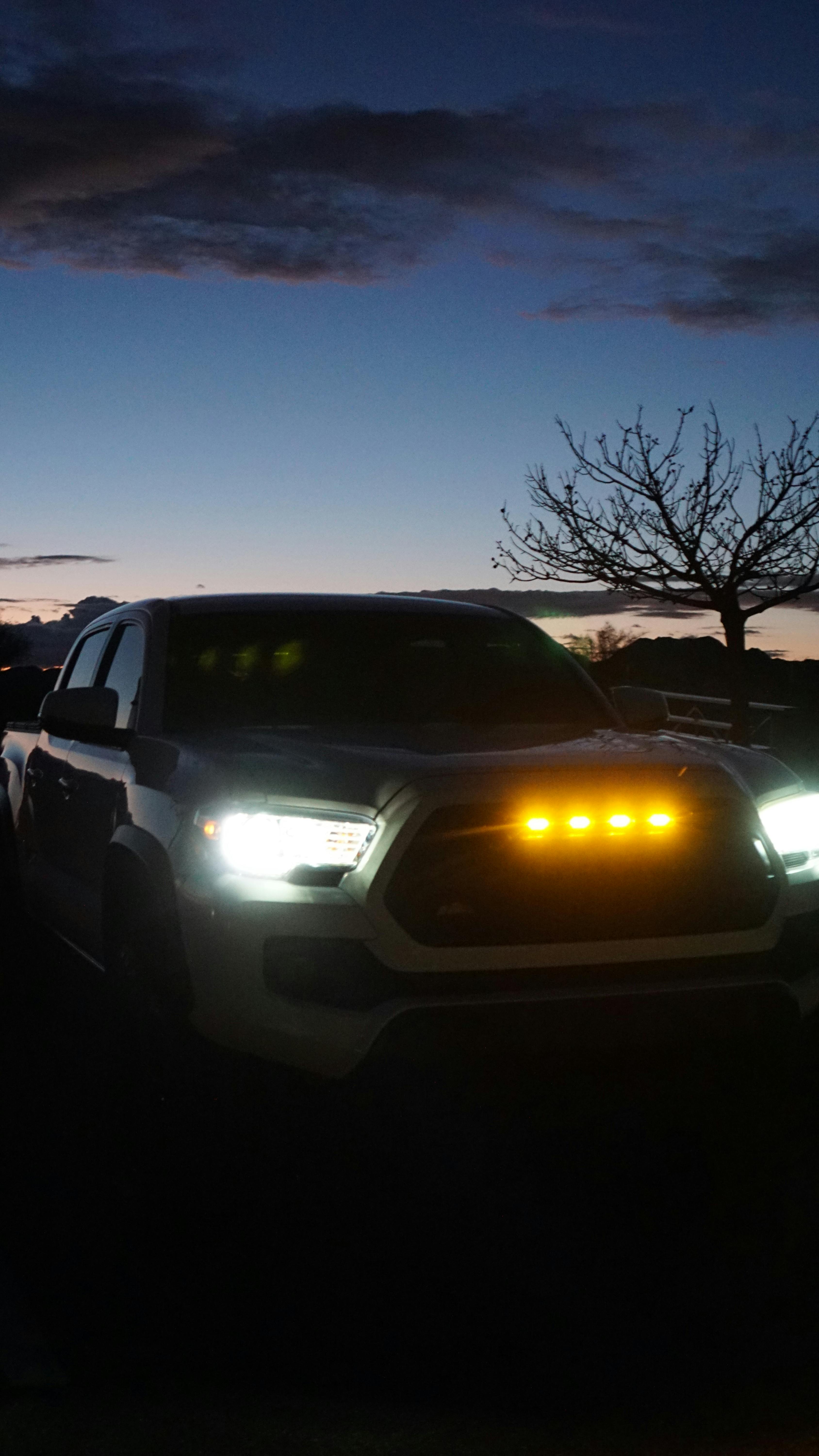 DIODE DYNAMICS | H11 SL2 Pro LED Bulbs (Pair) (DD0483P)