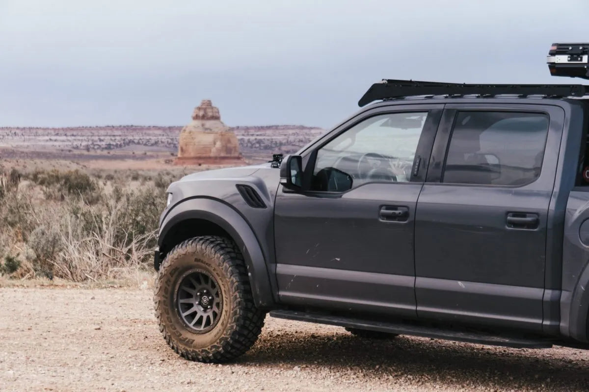 PRINSU DESIGNS | Ford Raptor / F150 2015-2020 Prinsu Roof Rack