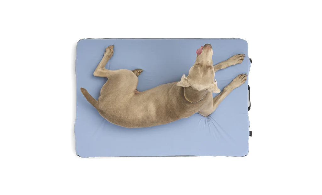 HEST | Dog Bed (D22108BLS)