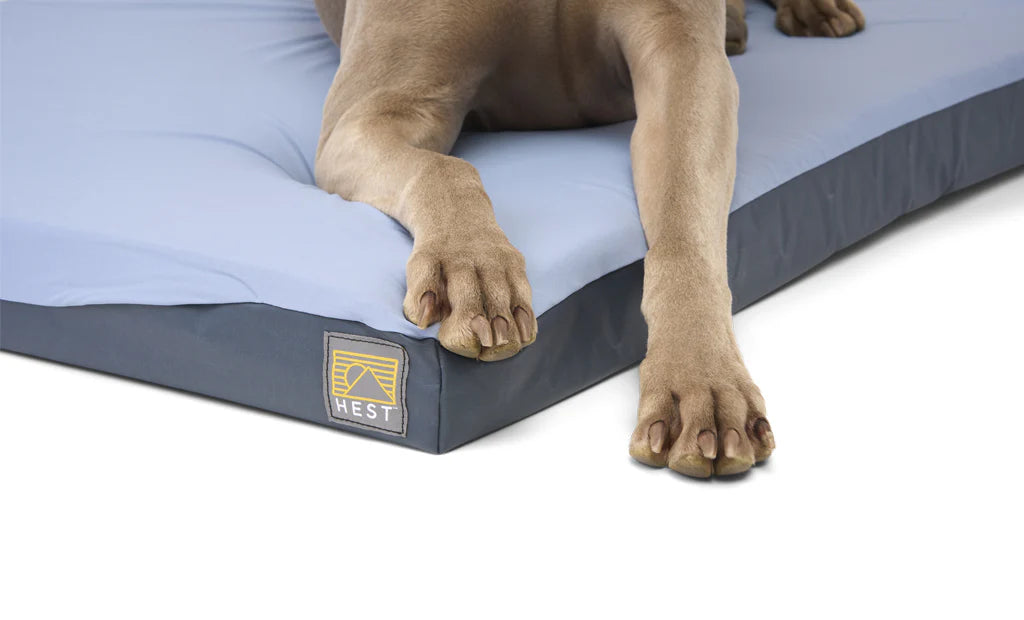 HEST | Dog Bed (D22108BLS)