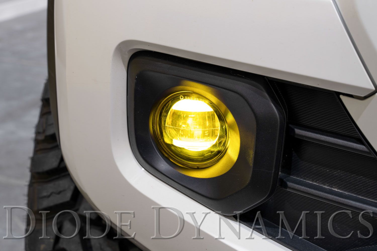 DIODE DYNAMICS | Elite Series Type B Fog Lamps (Pair)