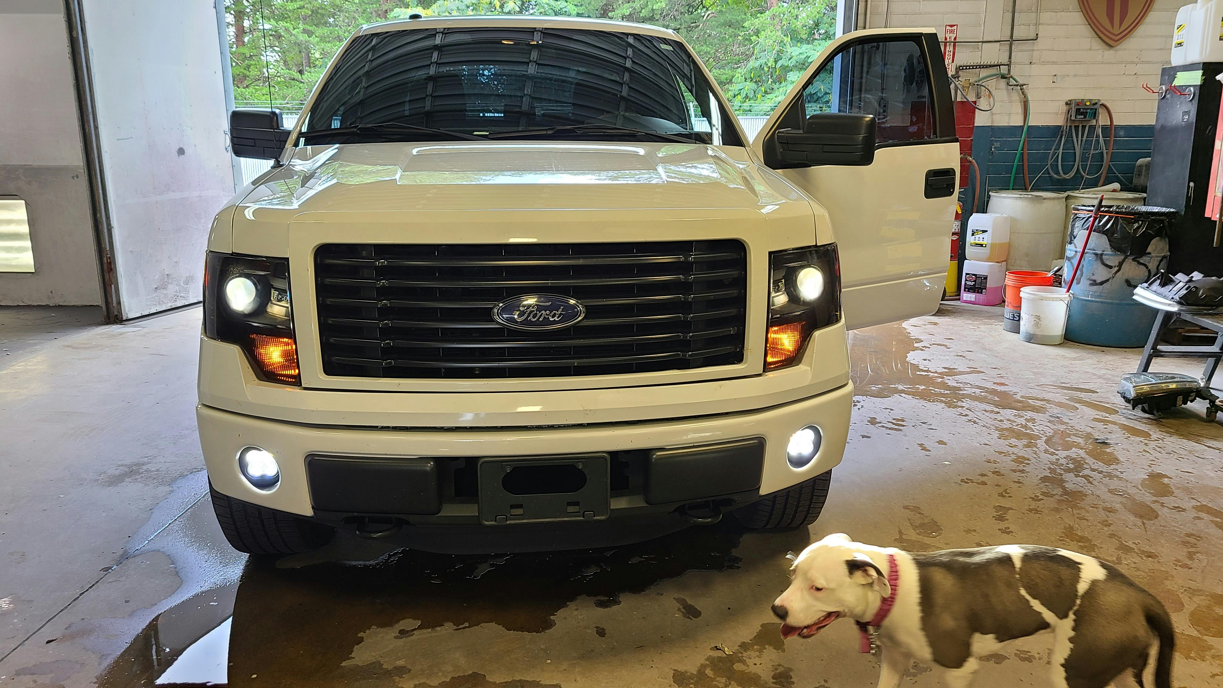 DIODE DYNAMICS | Ford F-150 2011-2014 SS3 LED Fog Light Kit