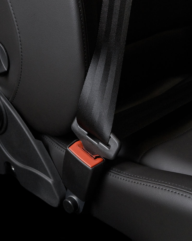 SCHEEL-MANN | Vario F with Integrated Seatbelt (VFSBL.LR02/S111.N)