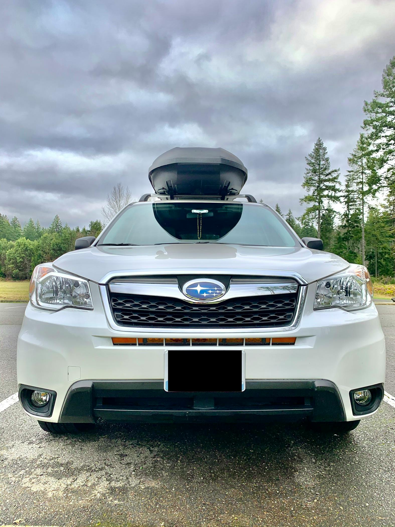 DIODE DYNAMICS | Subaru Forester 2016-2018 Stage Series 30" Light Bar