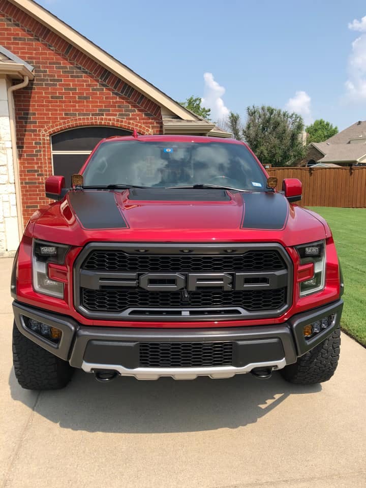 DIODE DYNAMICS | Ford Raptor 2017-2020 Stage Series Backlit Ditch Light Kit