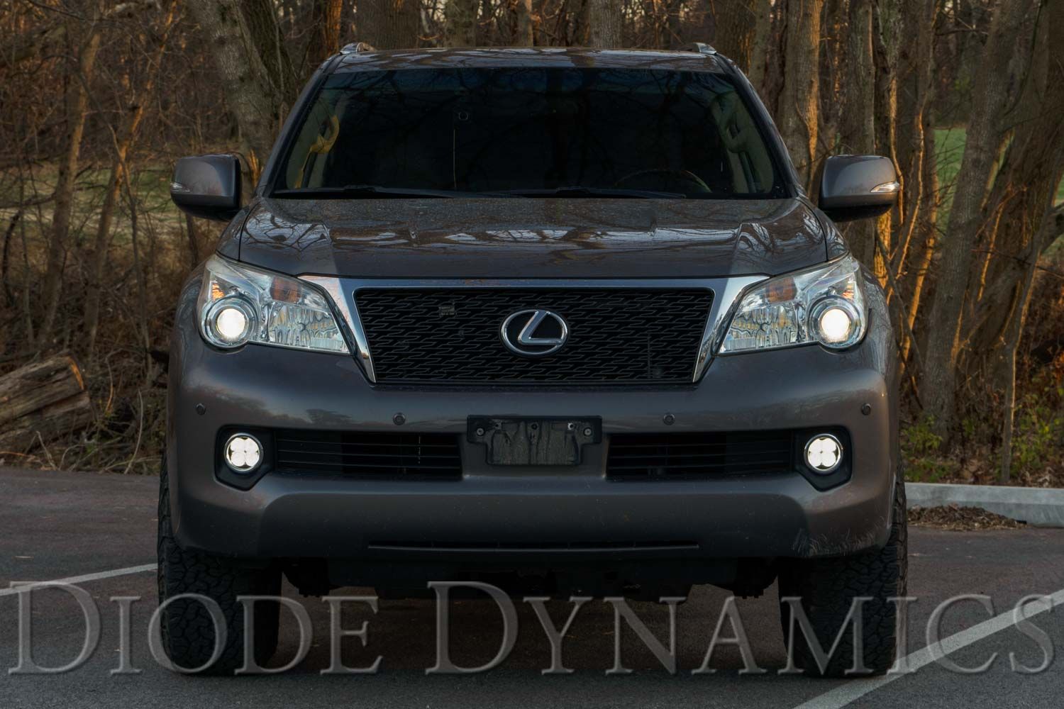 DIODE DYNAMICS | Lexus GX460 2010-2013 SS3 LED Fog Light Kit