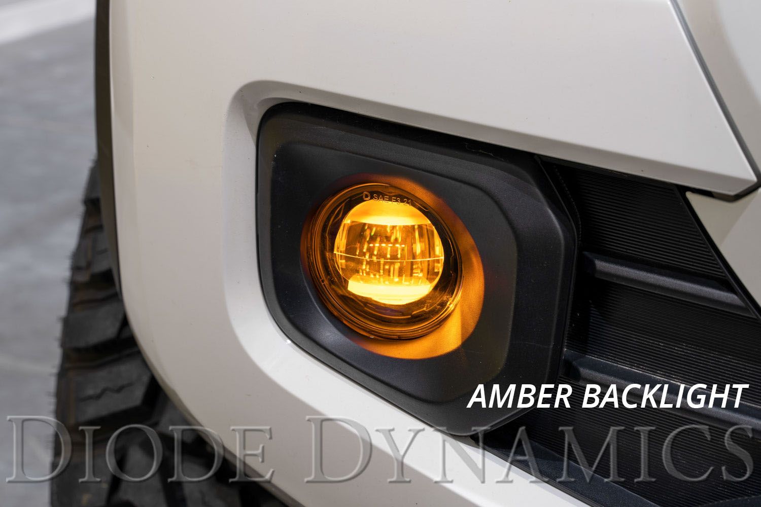 DIODE DYNAMICS | Elite Series Type B Fog Lamps (Pair)