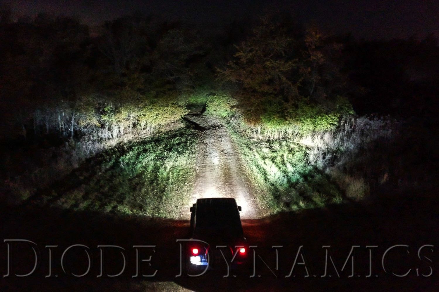 DIODE DYNAMICS | SS3 SAE/DOT Ram Vertical Fog Light Kit