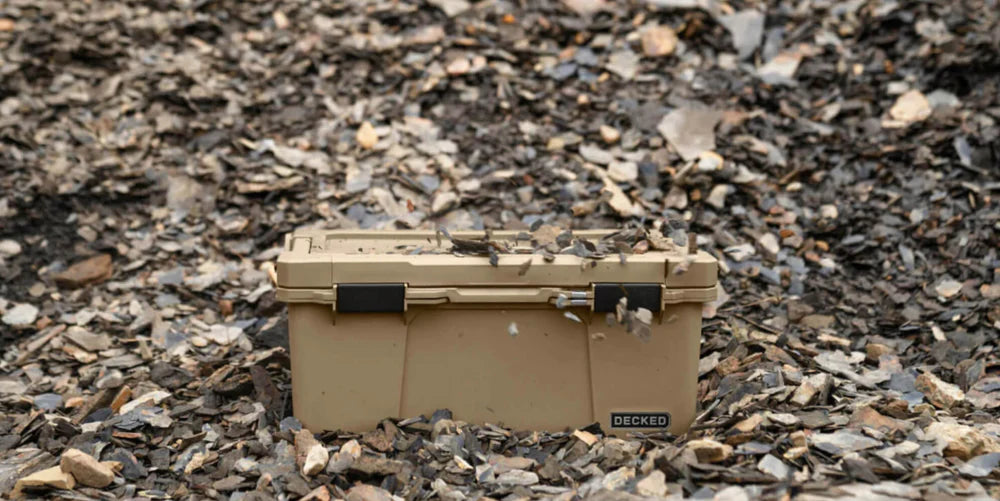 DECKED | Sixer 16