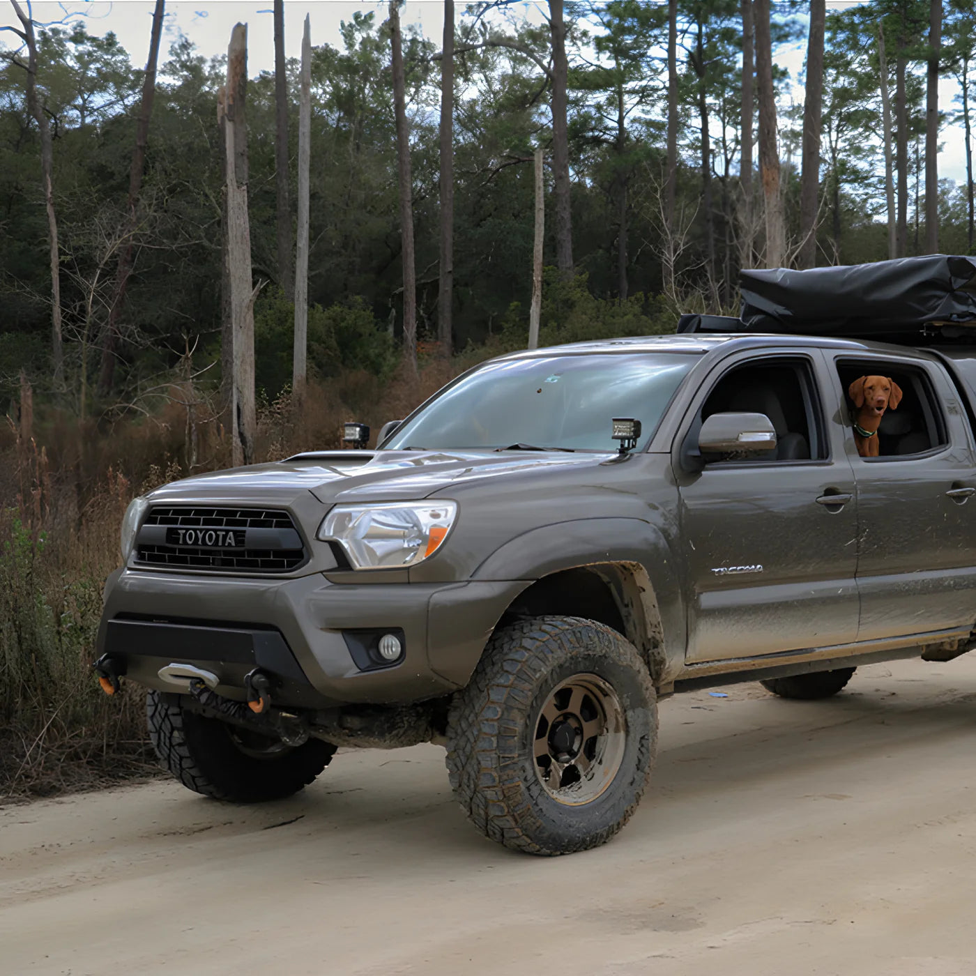 SOUTHERN STYLE OFFROAD | Tacoma 2nd Gen (2012 - 2015) Slimline Front Bumper (SSO-FBR-03-09)
