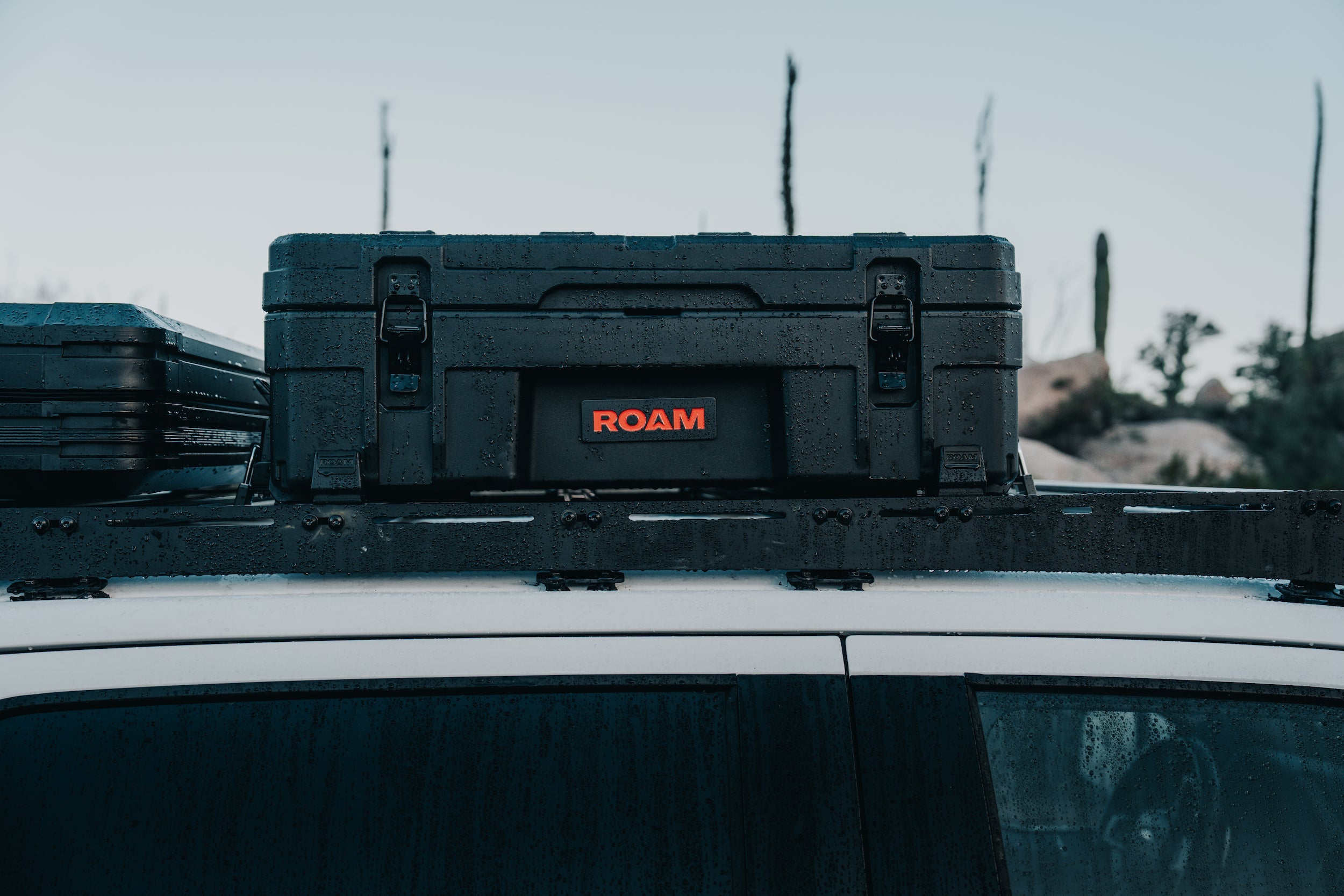 ROAM ADVENTURE | 66L Rugged Mounts